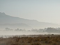 dhikala-winter