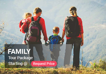 Family/Individual tours