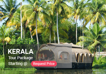Kerala tours