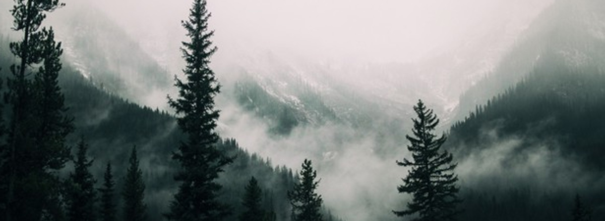 Nainital | Bhimtal | Kausani Treaking Tour